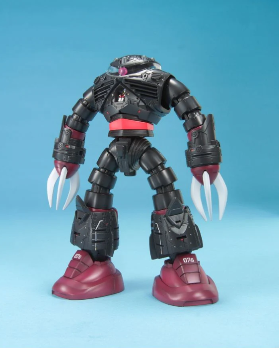 MG MSM-07 Z'GOK CHAR'S CUSTOM 1/100