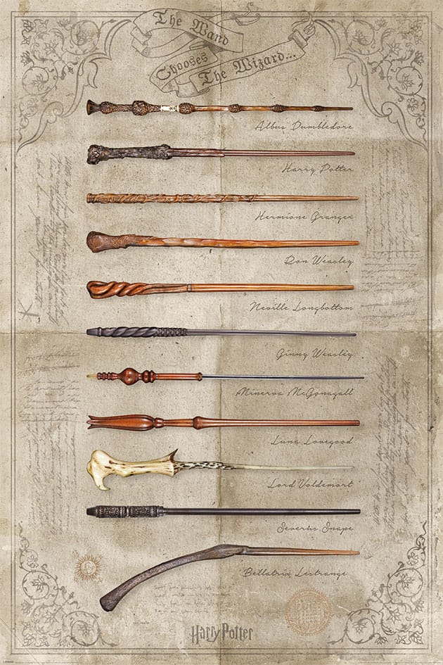 Harry Potter Poster Pack The Wand chooses the Wizzard 61 x 91 cm