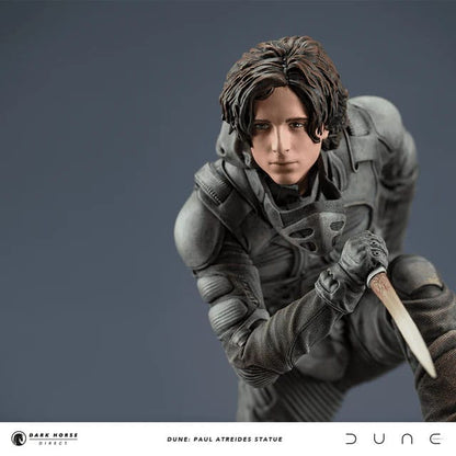 Dünenstatue Paul Atreides 22 cm
