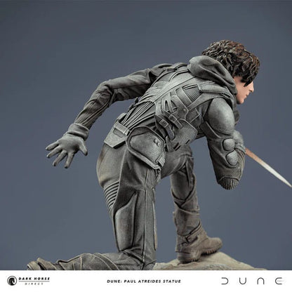 Dünenstatue Paul Atreides 22 cm