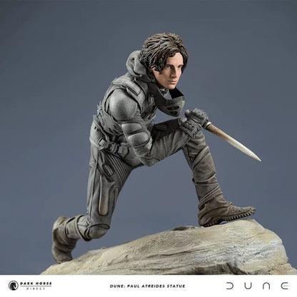 Dünenstatue Paul Atreides 22 cm