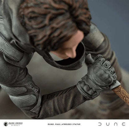 Dünenstatue Paul Atreides 22 cm