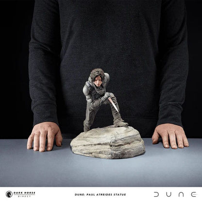 Dünenstatue Paul Atreides 22 cm