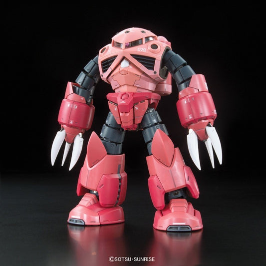 RG Z’GoK Char Custom (1/144)