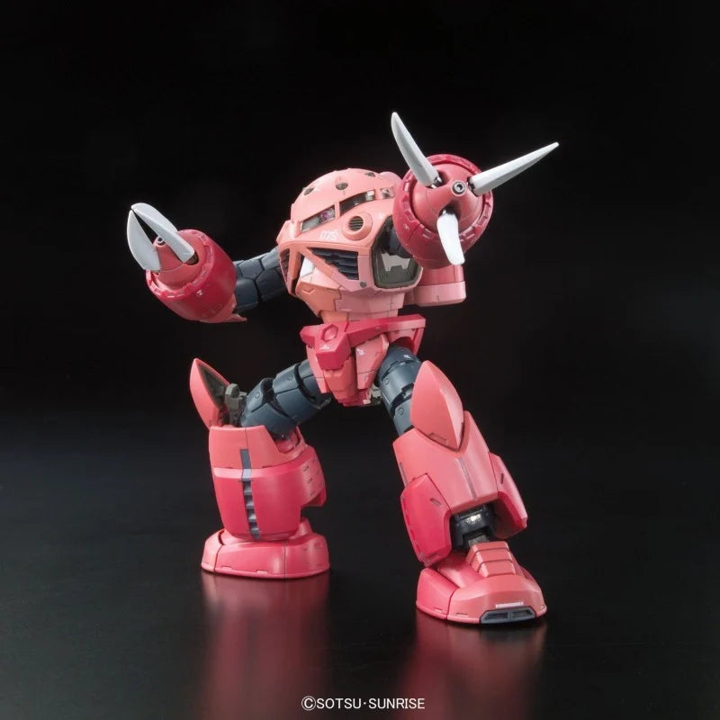 RG Z’GoK Char Custom (1/144)