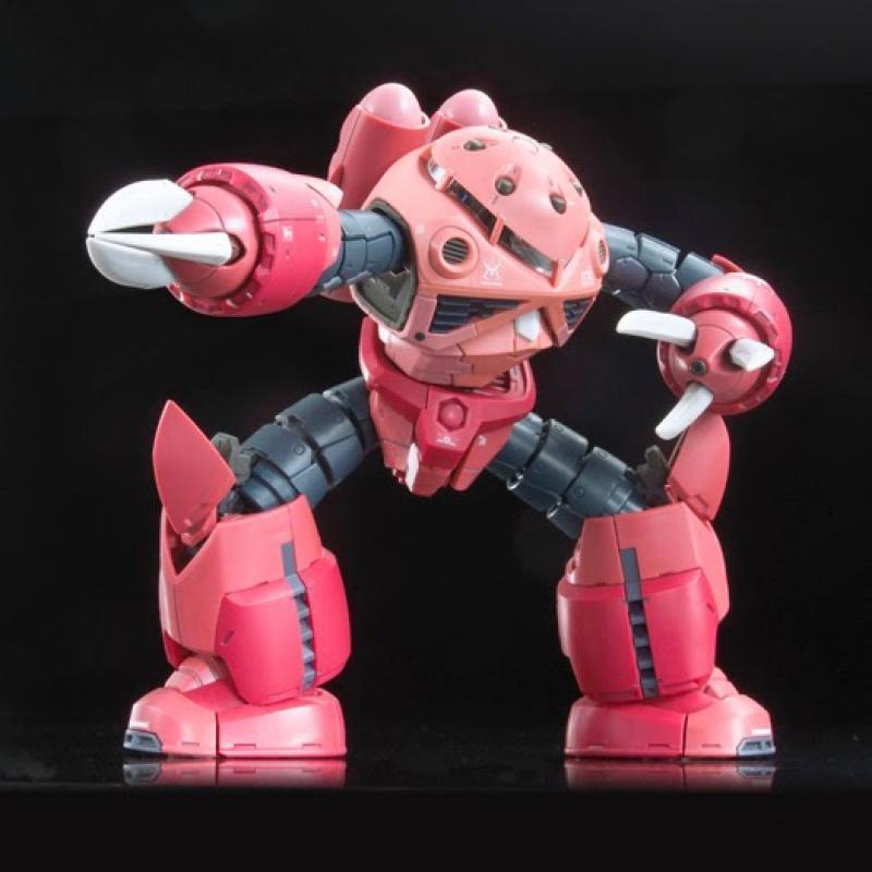RG Z’GoK Char Custom (1/144)