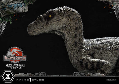 Jurassic Park III Legacy Museum Collection Statue 1/6 Velociraptor Female Bonus Version 44 cm