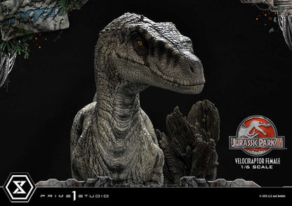 Jurassic Park III Legacy Museum Collection Statue 1/6 Velociraptor Female Bonus Version 44 cm