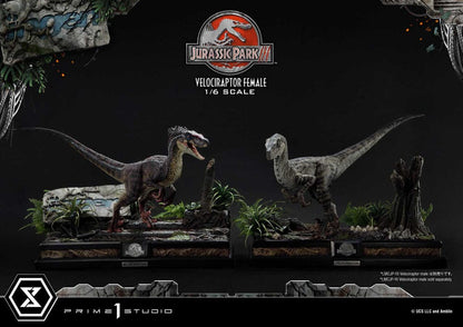 Jurassic Park III Legacy Museum Collection Statue 1/6 Velociraptor Female Bonus Version 44 cm