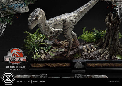 Jurassic Park III Legacy Museum Collection Statue 1/6 Velociraptor Female Bonus Version 44 cm