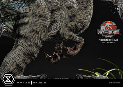 Jurassic Park III Legacy Museum Collection Statue 1/6 Velociraptor Female Bonus Version 44 cm