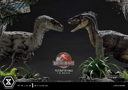 Jurassic Park III Legacy Museum Collection Statue 1/6 Velociraptor Female Bonus Version 44 cm