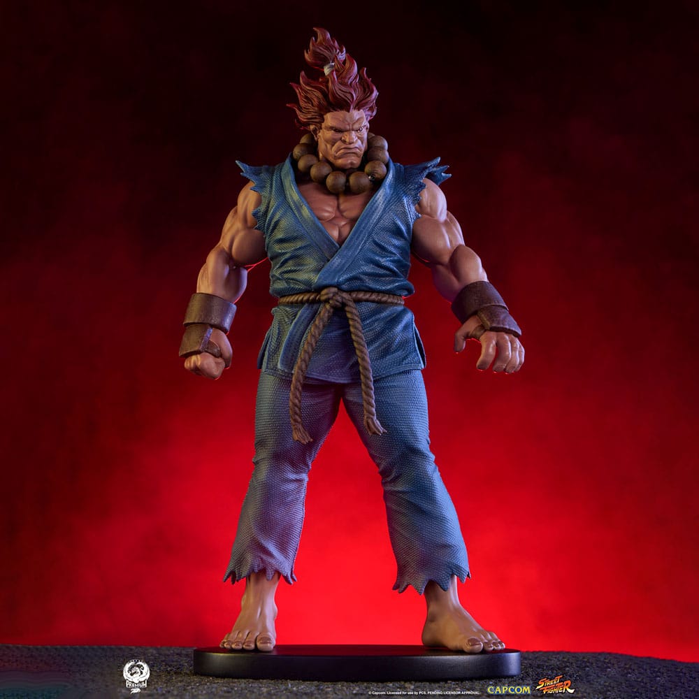 Street Fighter PVC Statues 1/10 Akuma &amp; Dhalsim 21 cm