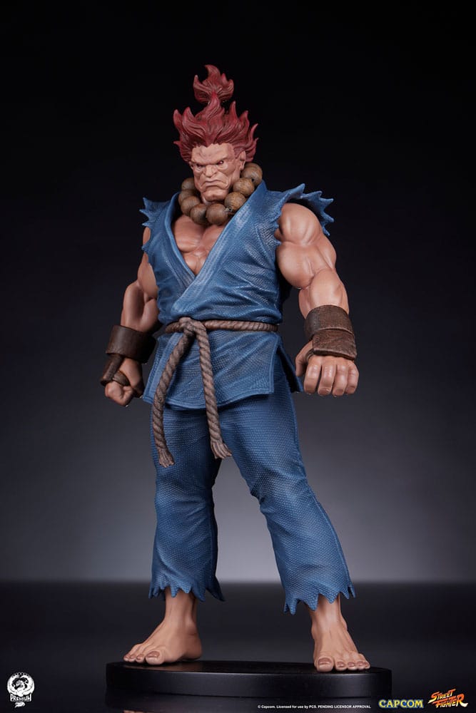 Street Fighter PVC Statues 1/10 Akuma &amp; Dhalsim 21 cm
