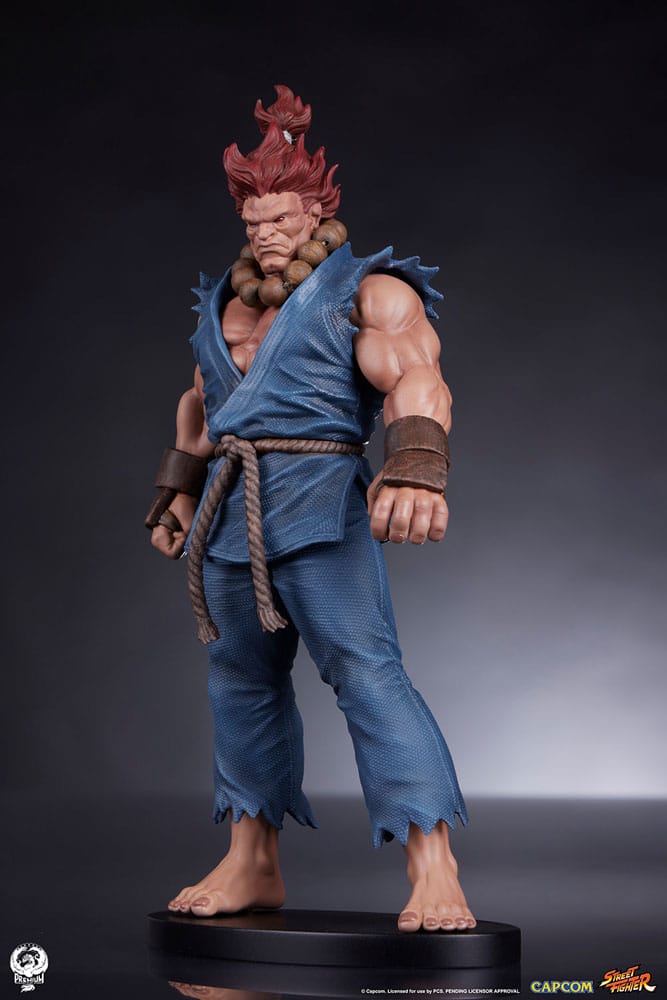 Street Fighter PVC Statues 1/10 Akuma &amp; Dhalsim 21 cm