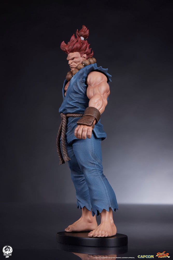 Street Fighter PVC Statues 1/10 Akuma &amp; Dhalsim 21 cm