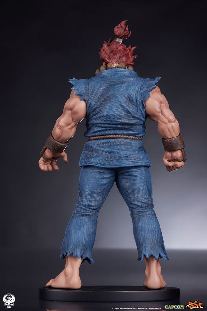 Street Fighter PVC Statues 1/10 Akuma &amp; Dhalsim 21 cm