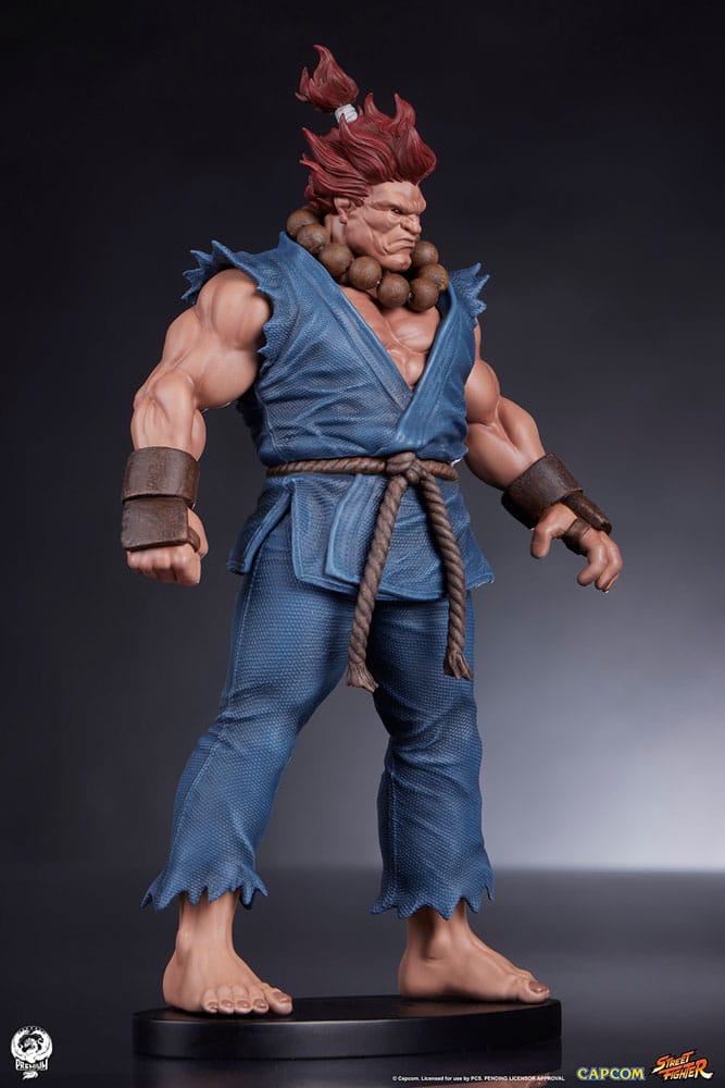 Street Fighter PVC Statues 1/10 Akuma &amp; Dhalsim 21 cm