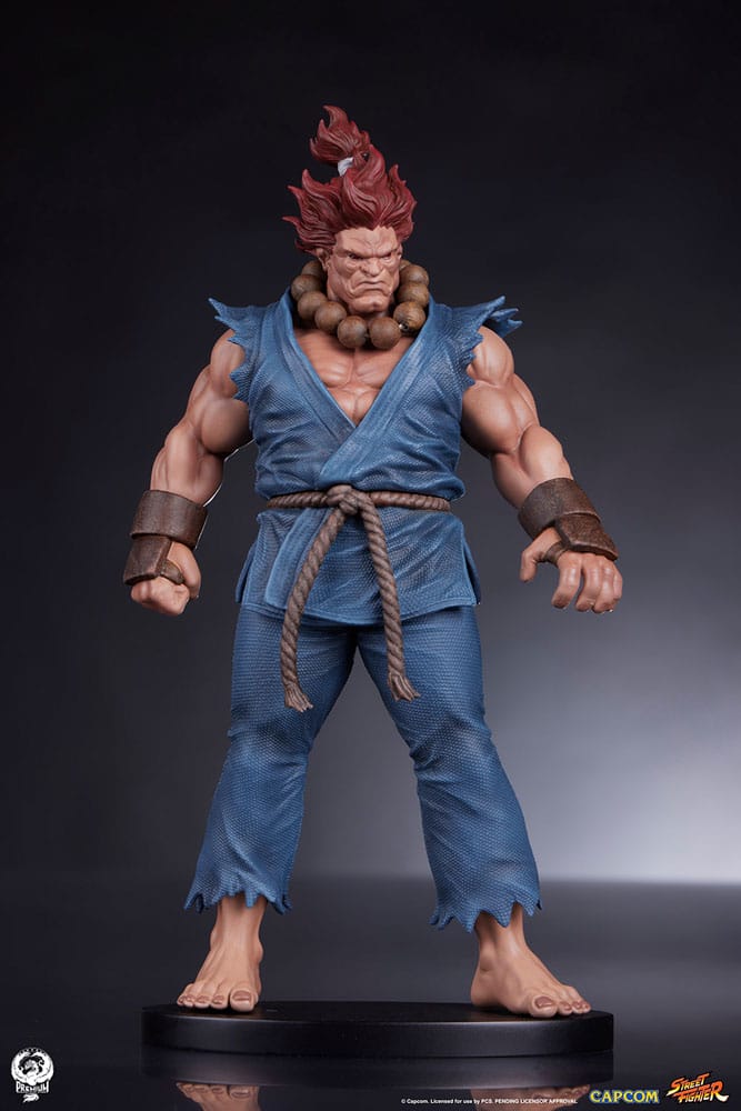 Street Fighter PVC Statues 1/10 Akuma &amp; Dhalsim 21 cm