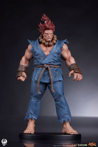 Street Fighter PVC-Statuen 1/10 Akuma &amp; Dhalsim 21 cm
