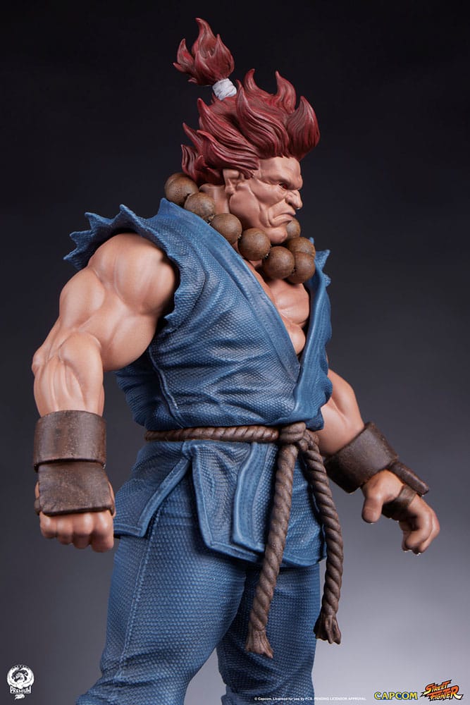 Street Fighter PVC Statues 1/10 Akuma &amp; Dhalsim 21 cm