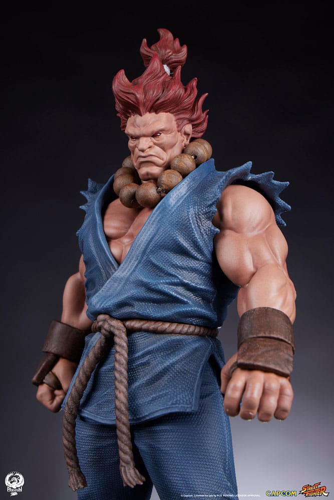 Street Fighter PVC Statues 1/10 Akuma &amp; Dhalsim 21 cm
