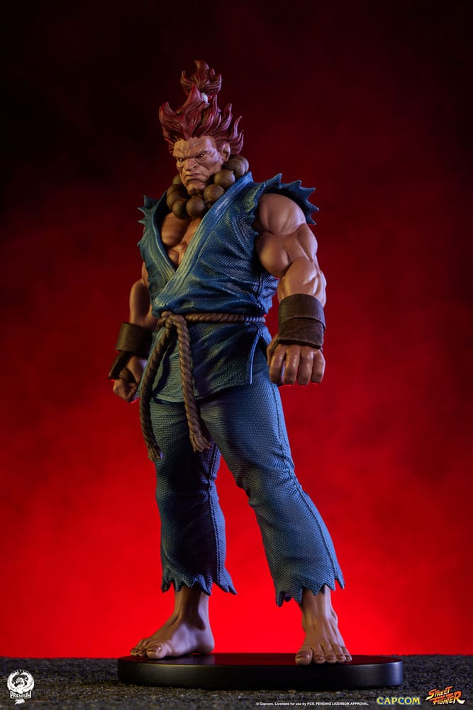 Street Fighter PVC Statues 1/10 Akuma &amp; Dhalsim 21 cm