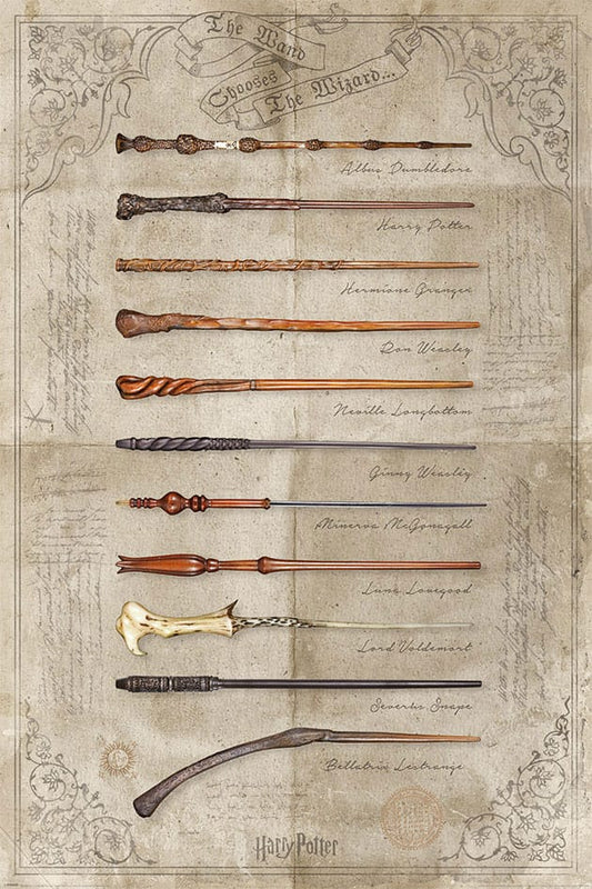 Harry Potter Poster Pack The Wand chooses the Wizzard 61 x 91 cm