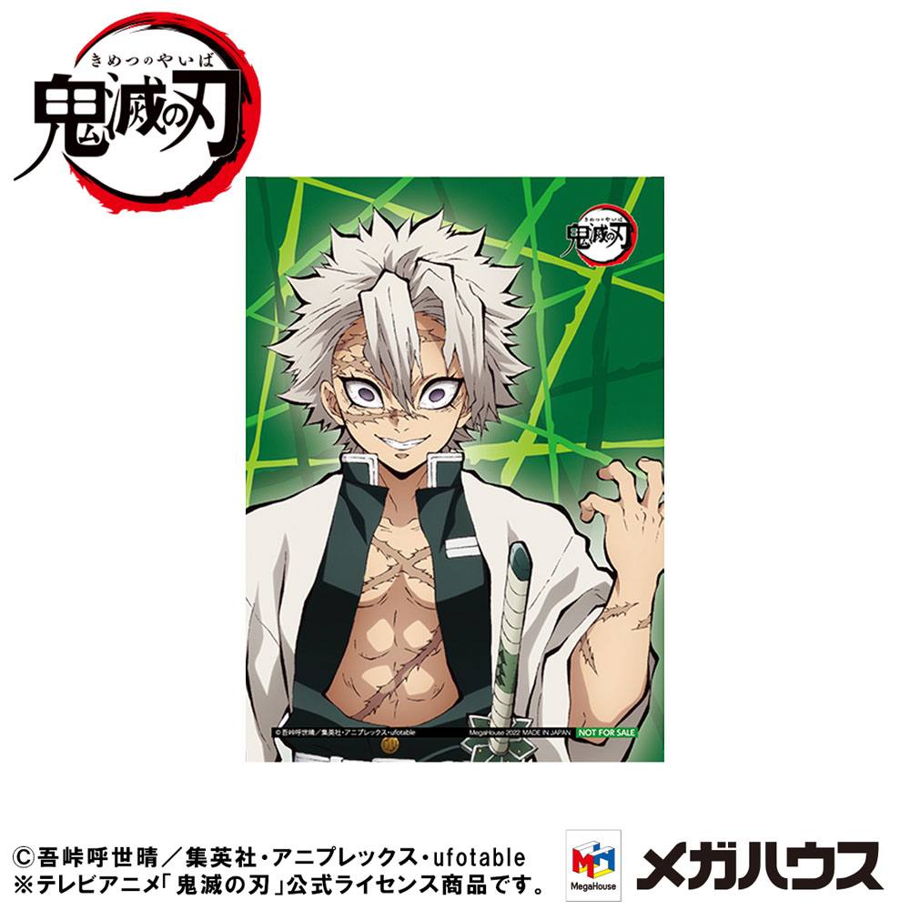 Demon Slayer Kimetsu no Yaiba G.E.M. PVC-statue Shinazugawa-san Palm Størrelse Special Edition 9 cm