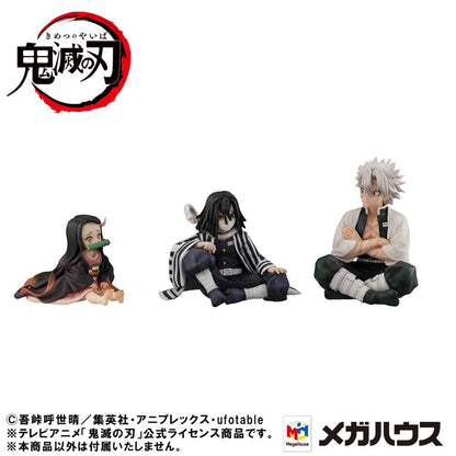 Demon Slayer Kimetsu no Yaiba GEM PVC Statue Shinazugawa-san Palm Size Special Edition 9cm