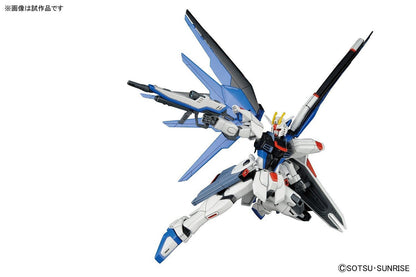 HGCE Gundam Freedom 1/144