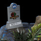 Jurassic Park Demi Art Scale Statue 1/20 T-Rex attackiert Donald Gennaro 30 cm