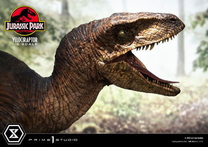 Jurassic Park Legacy Museum Collection Statue 1/6 Velociraptor Attack 38 cm højre side af ansigt med åben mund