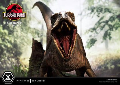 Jurassic Park Legacy Museum Collection Statue 1/6 Velociraptor Attack 38 cm set forfra med åben mund