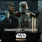 Star Wars The Mandalorian Action Figure 1/6 Transport Trooper 31 cm