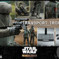 Star Wars The Mandalorian Action Figure 1/6 Transport Trooper 31 cm